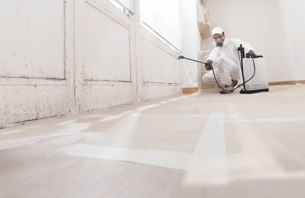 24/7 Emergency Basement Mold Remediation experts in Myersville, MD