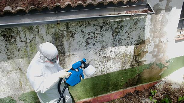 Trusted Commercial Mold Remediation service in Myersville, MD - Cheap Mold Removal